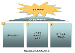 平衡計分卡與戰(zhàn)略管理 提升中國企業(yè)集團戰(zhàn)略執(zhí)行力的實踐探索